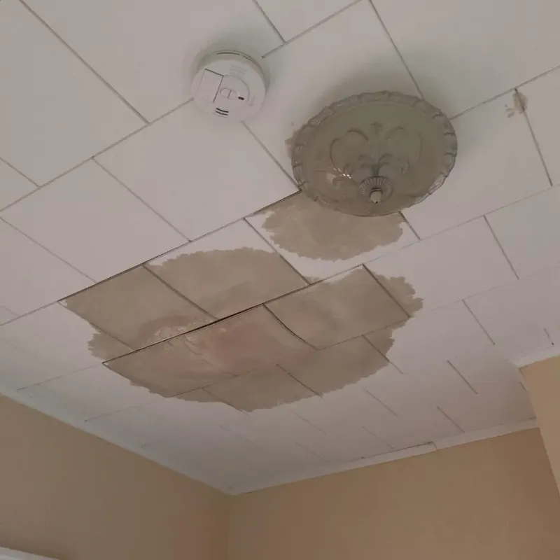 Ceiling Water Damage Repair in City of Norfolk, VA