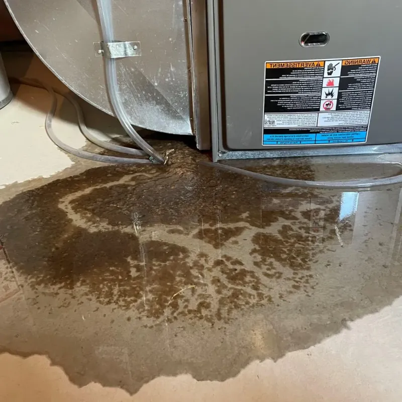 Pipe Burst and Leak Restoration in City of Norfolk, VA