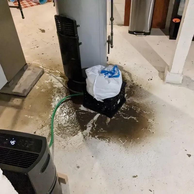 Sewage Backup Cleanup Service in City of Norfolk, VA